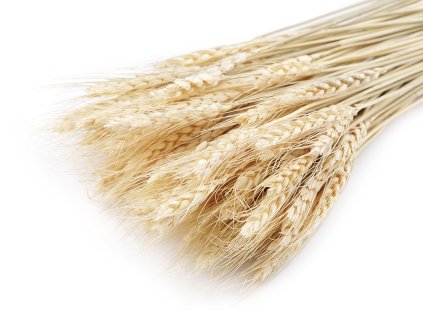 Obilí přírodní svazek (Varianta přírodní sv., Balení 1 svaz.)