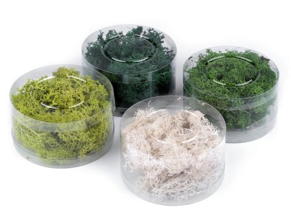 Stabilizovaný / preparovaný mech 20 g v krabičce (Varianta 2 zelená sv., Balení 1 ks)