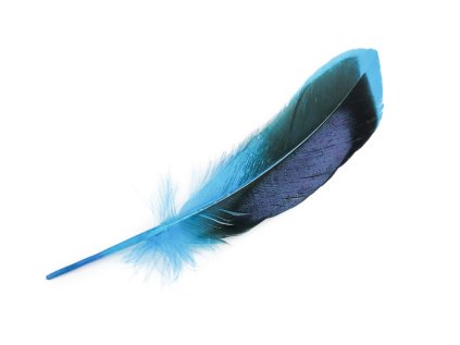 Kachní peří délka 13-15 cm (Varianta 1 červená, Balení 1 sáček)