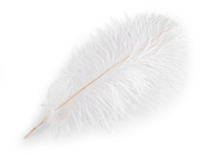Pštrosí peří délka 40-45 cm nebělené (Varianta bílá přírodní, Balení 1 ks)