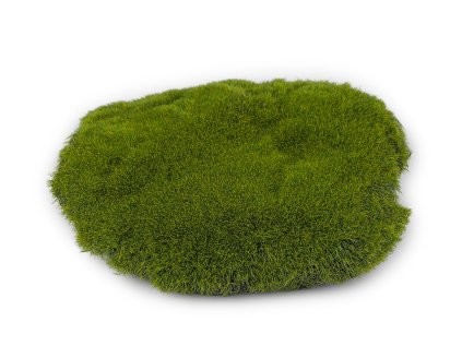 Mechový polštářek k dekorování (Varianta zelená sv., Balení 1 ks)