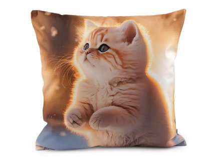 Sametový povlak na polštář pes, kočka 45x45 cm (Varianta 1 béžová tm. kočka, Balení 1 ks)