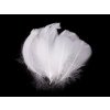 Pštrosí peří délka 6-11 cm (Varianta 1 bílá, Balení 1 sáček)