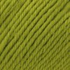 kroopa wool Kiwi (0179)