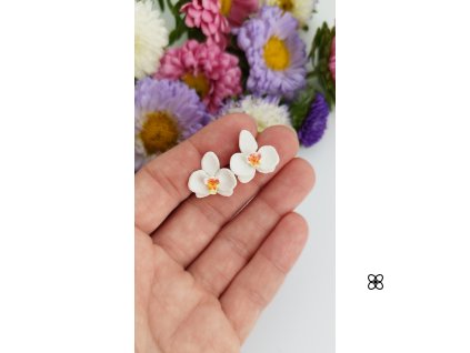 Orchidej