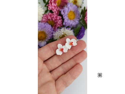 Orchidej