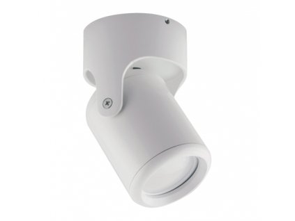 39620 stropni svitidlo domen gu10 white