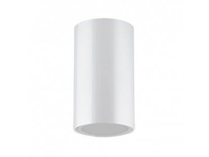 39641 stropni svitidlo otto gu10 white