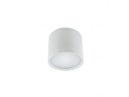 Downlight ROLEN LED 3W bílá