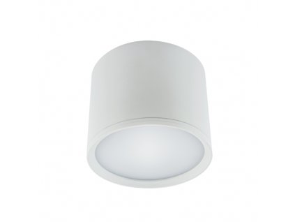 Downlight ROLEN LED 10W bílá