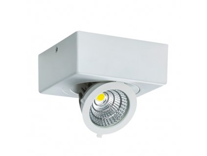 Bodové svítidlo IGOR LED D 9W NW IP20 65° bílá