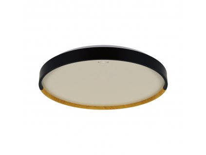 Plafoniera FARNA LED C 16W NW