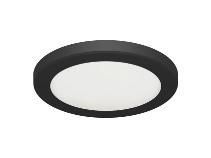 Stropní svítidlo OLGA LED C černá 24W
