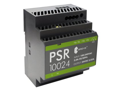 09PSR 10024