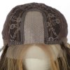 2067 10 hneda paruka protkana meliry jess se sitkou lace front