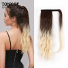 Hedvábný clip in WRAP AROUND PONYTAIL - double barva