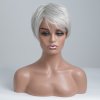 Stříbrná paruka z pravých a umělých vlasů Pixie