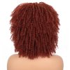 Zrzavá afro paruka Ella s ofinou