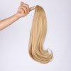 Rovný PONYTAIL se skřipcem - blond