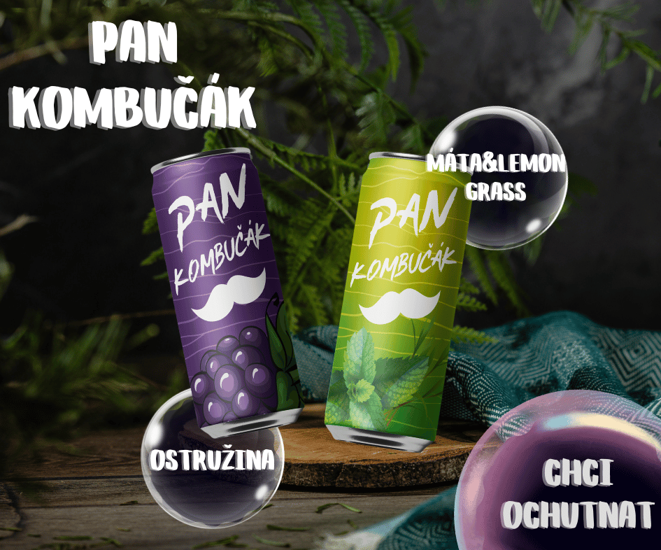 Pan Kombučák