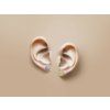 001 nausnice printi nail small silver