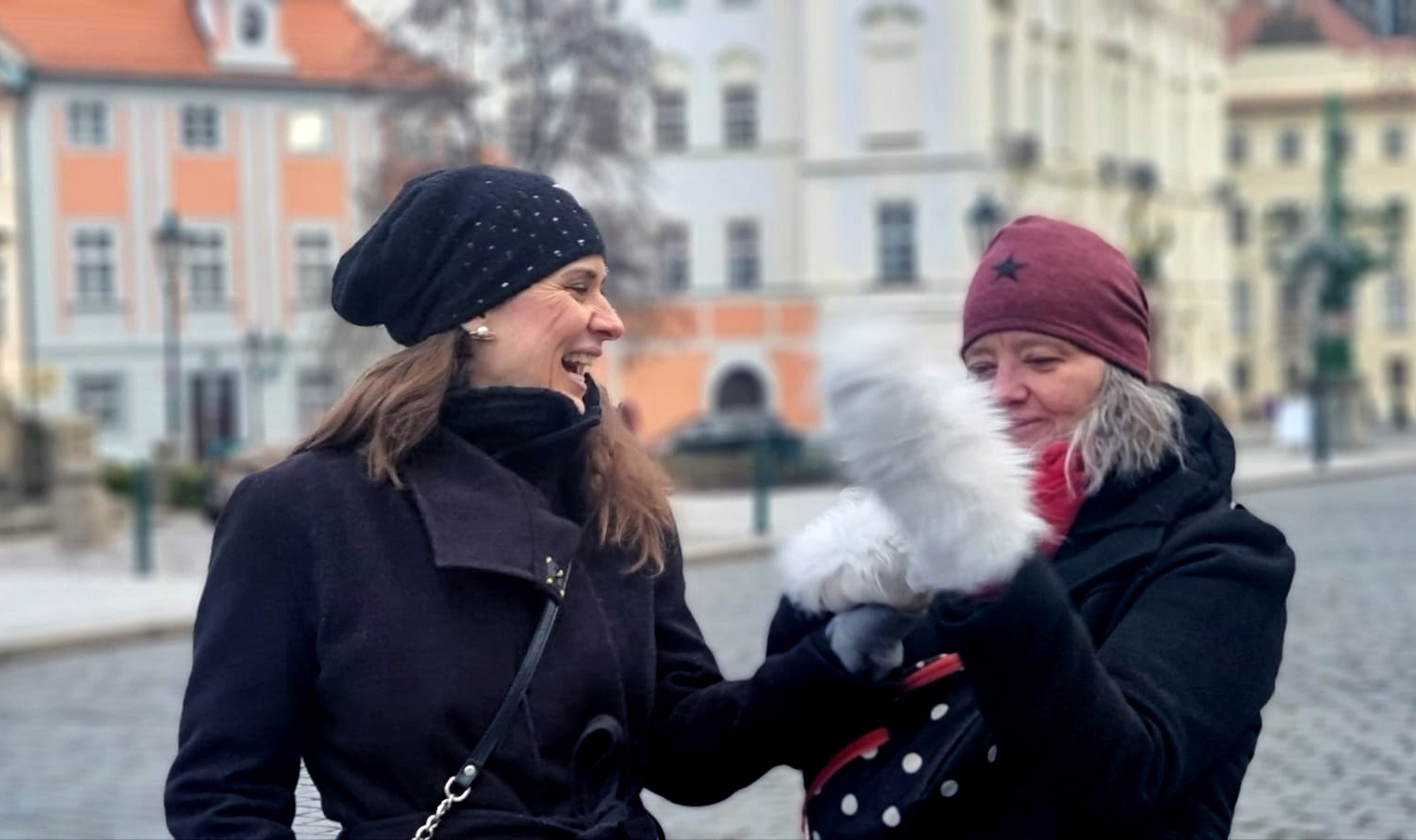 Lednový vítr ve skladu & pohouhání 💞