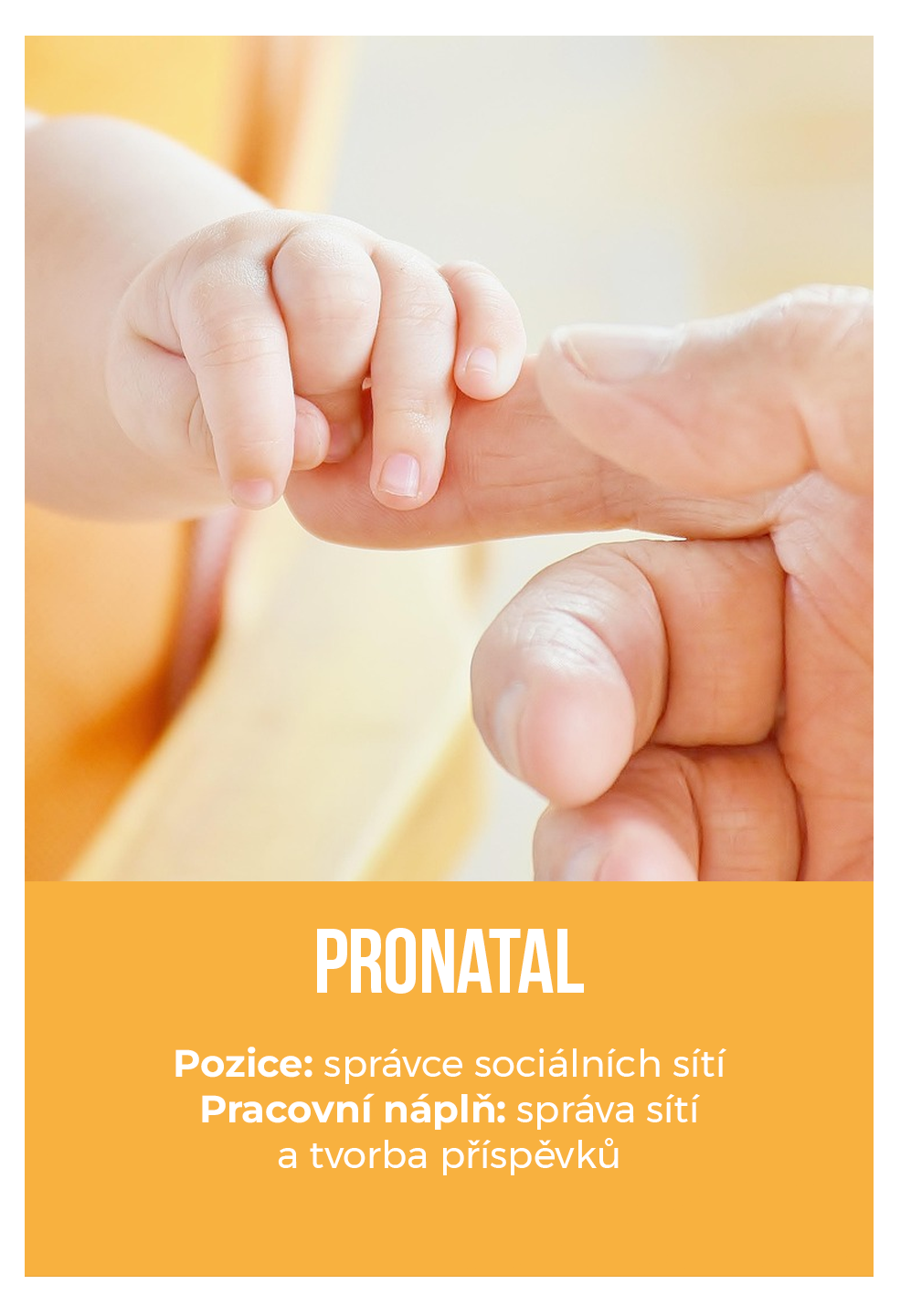 pronatal-u