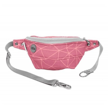 ledvinka triangle (1)