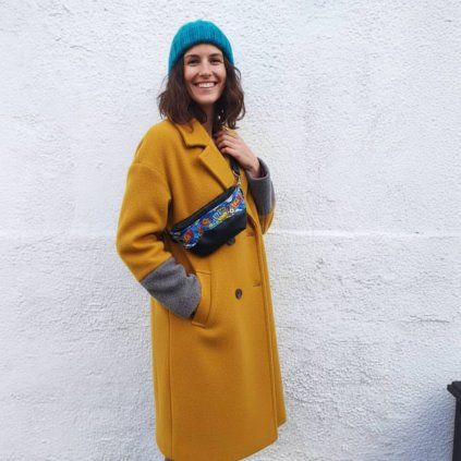 ledvinka komiks danami