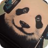 panda 6