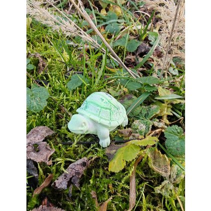 Želvička z eko pryskyřice