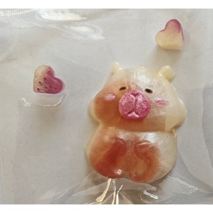 Taba squishy kapybara