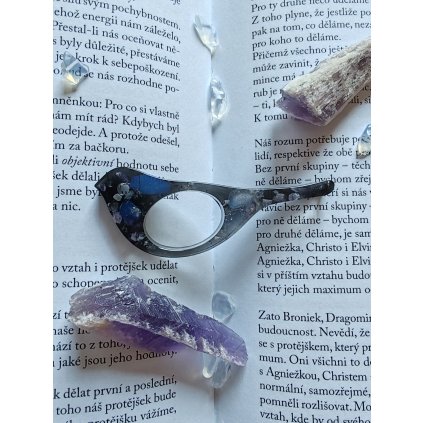 Záložka na stránku ptáček