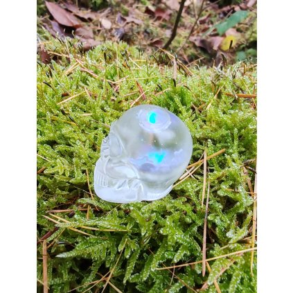 Lebka s tekutým jádrem fialková