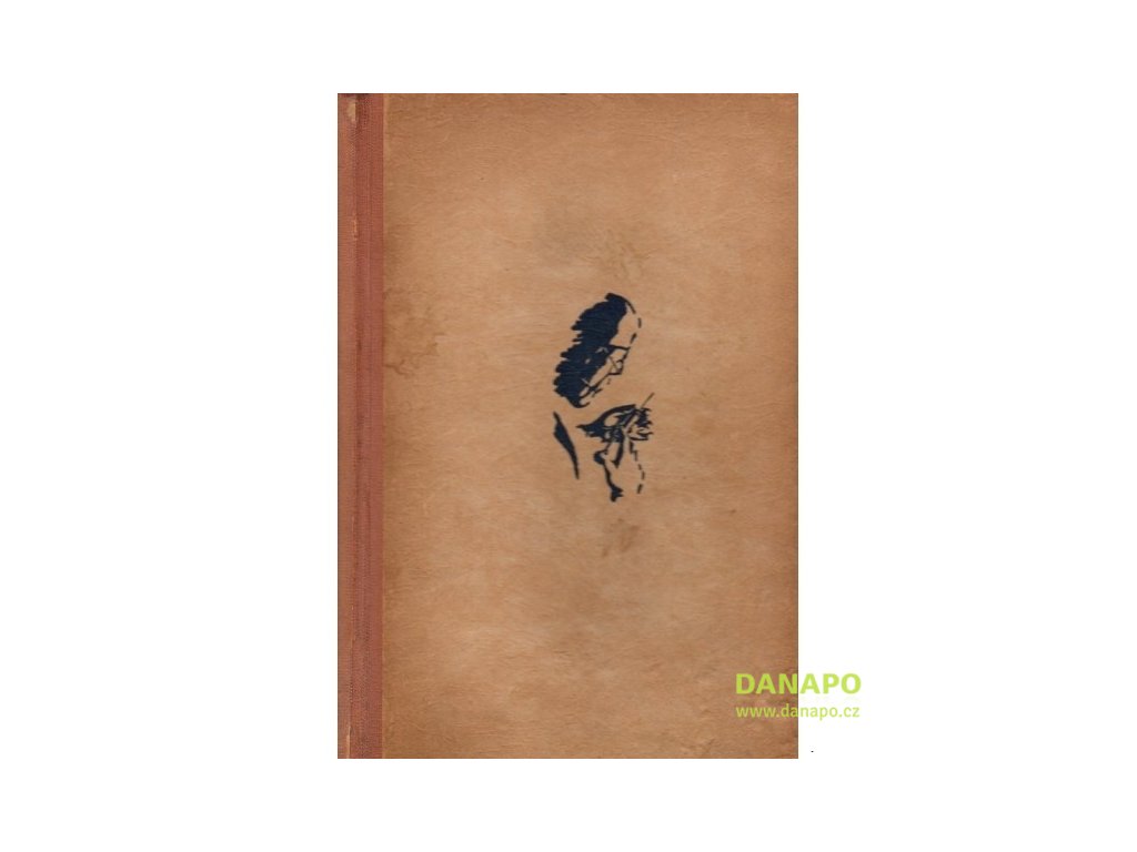 32818 kniha clovek v siti ladislav ptacek