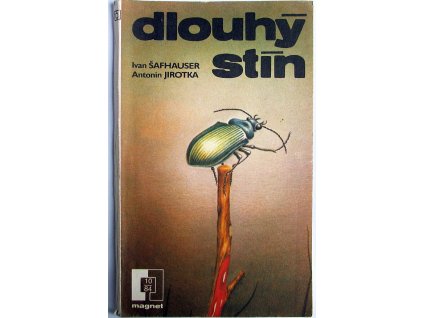 big dlouhy stin doP 92566[1]