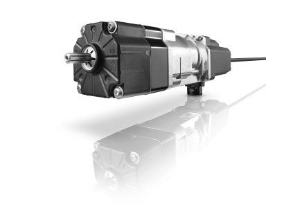 vyr 186J4 WT 1[1]