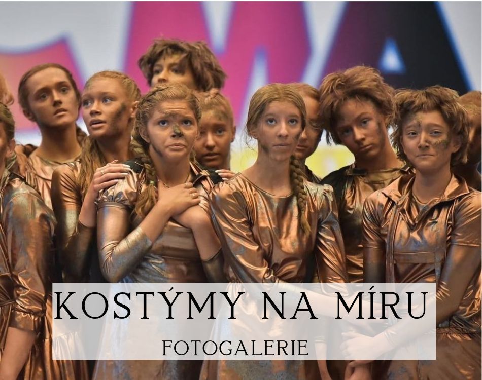 Kostýmy tématické