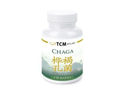 chaga