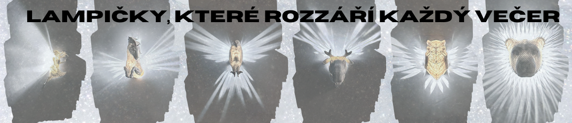 Podsvícené led dekorace