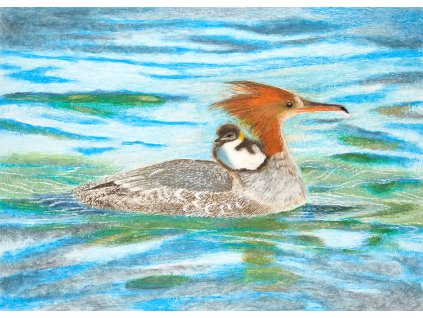 obraz kachny s mládětem na vodě