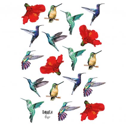 samolepky kolibrici