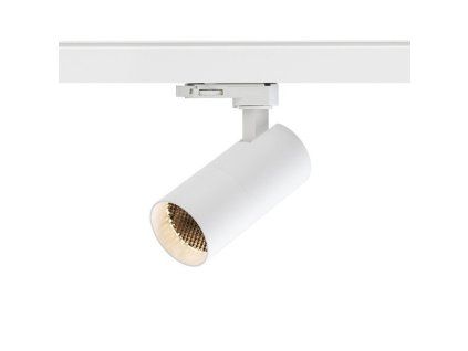 101083 image