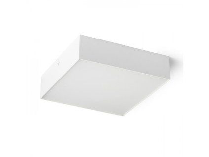 101920 image