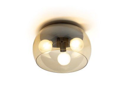 102685 image