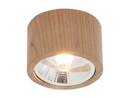 Bodové svítidlo OAK, 15W, ø 12 cm