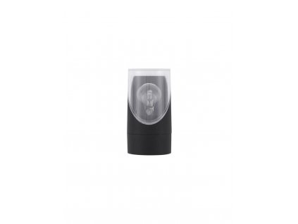 Venkovní nástěnné svítidlo SELENA antracitový hliník a čirý akryl E27 1x12W IP65