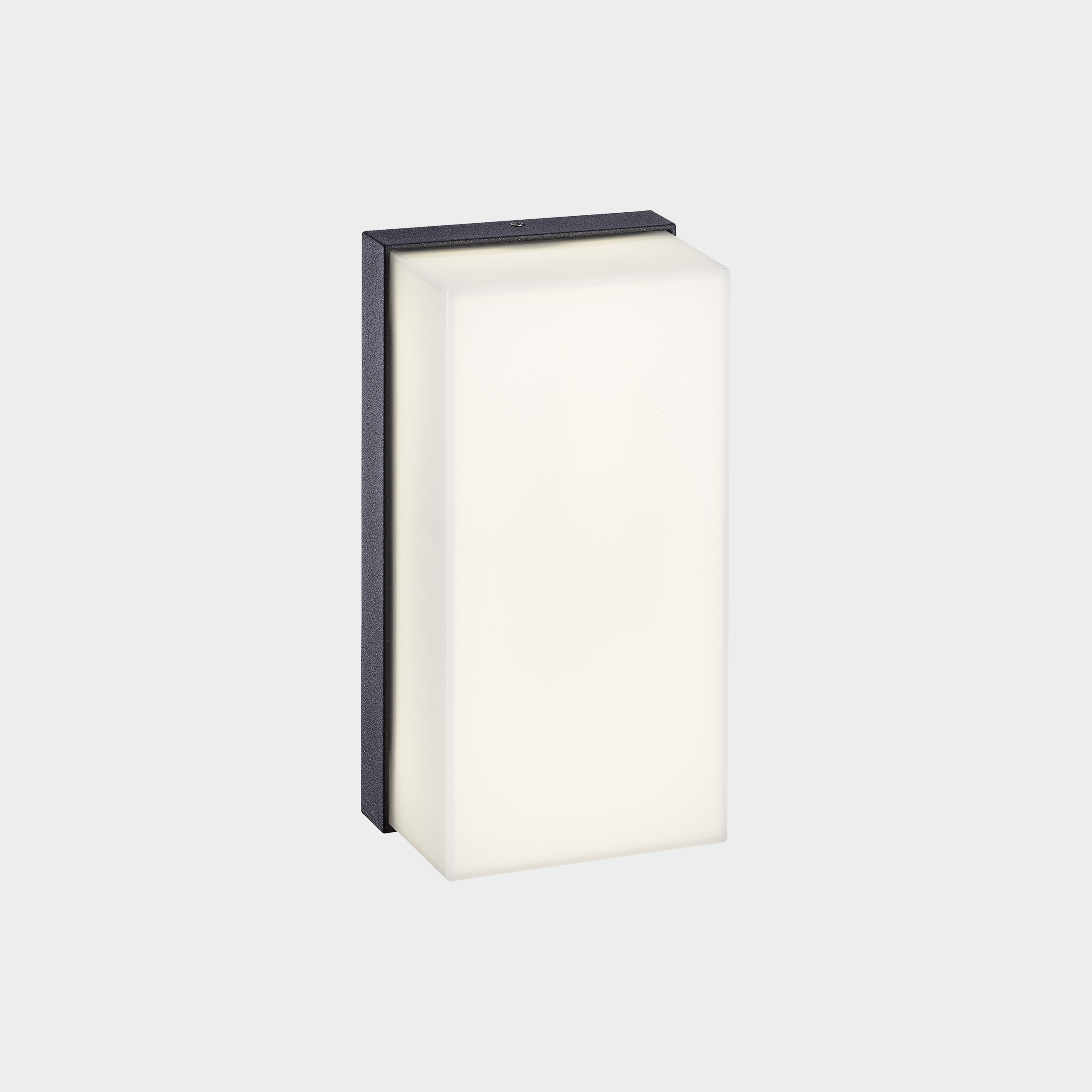 ACB Iluminacion Venkovní nástěnné LED svítidlo NOEL, 10W, v. 20 cm, CRI90, CCT switch 2700-3000K, IP65
