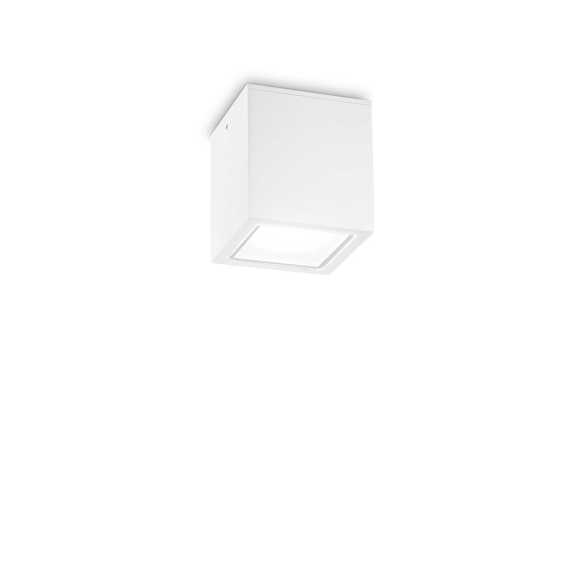 Ideal Lux Stropní přisazené svítidlo TECHO PL1 SMALL, IP54 Barva: Bílá