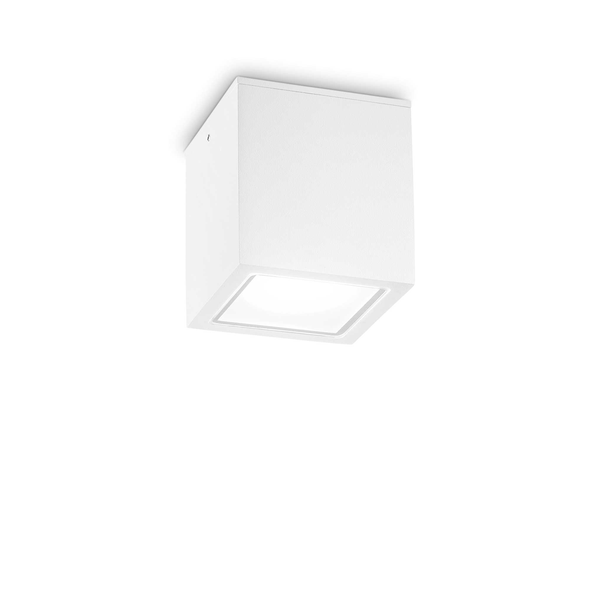 Ideal Lux Stropní přisazené svítidlo TECHO PL1 BIG, IP54 Barva: Bílá